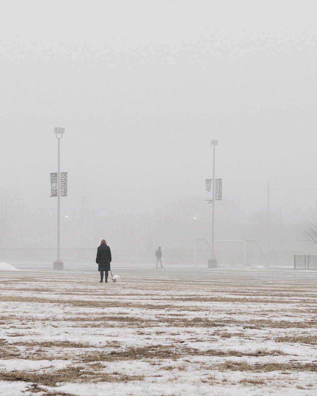 chicago solitude